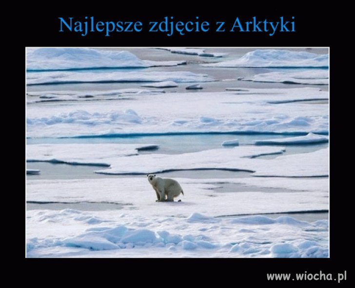 Mistrzostwo