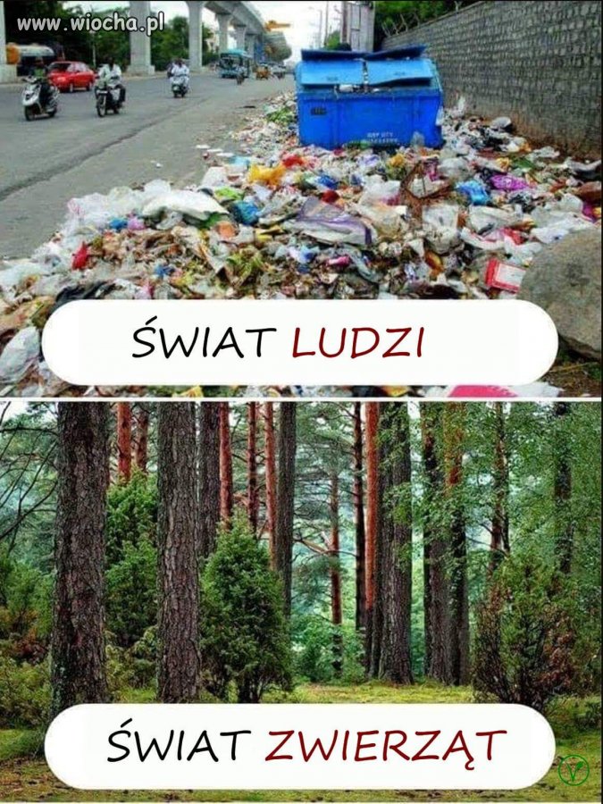 Błagamy, zachowujcie się, jak zwierzęta!