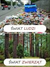 Błagamy, zachowujcie się, jak zwierzęta!