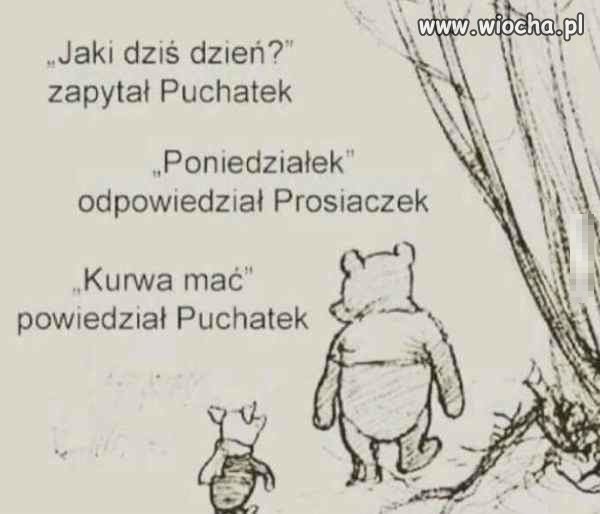 Miś pełen optymizmu