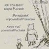 Miś pełen optymizmu