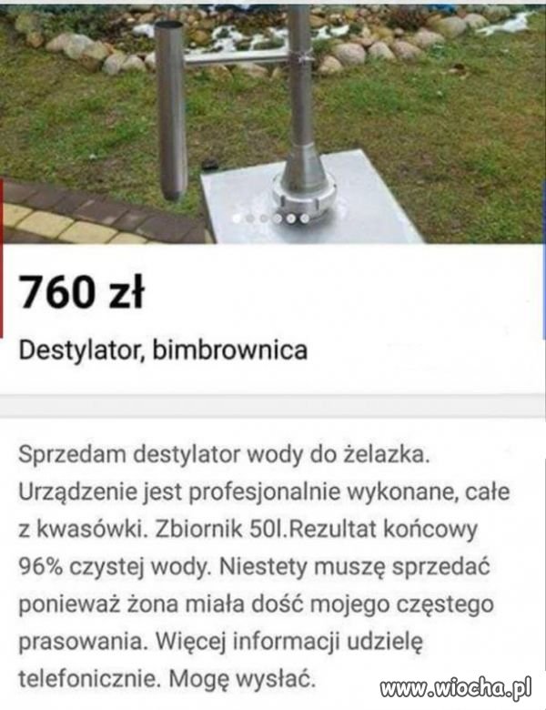 Janusz biznesu