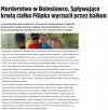 Zwyrol zabił dziecko