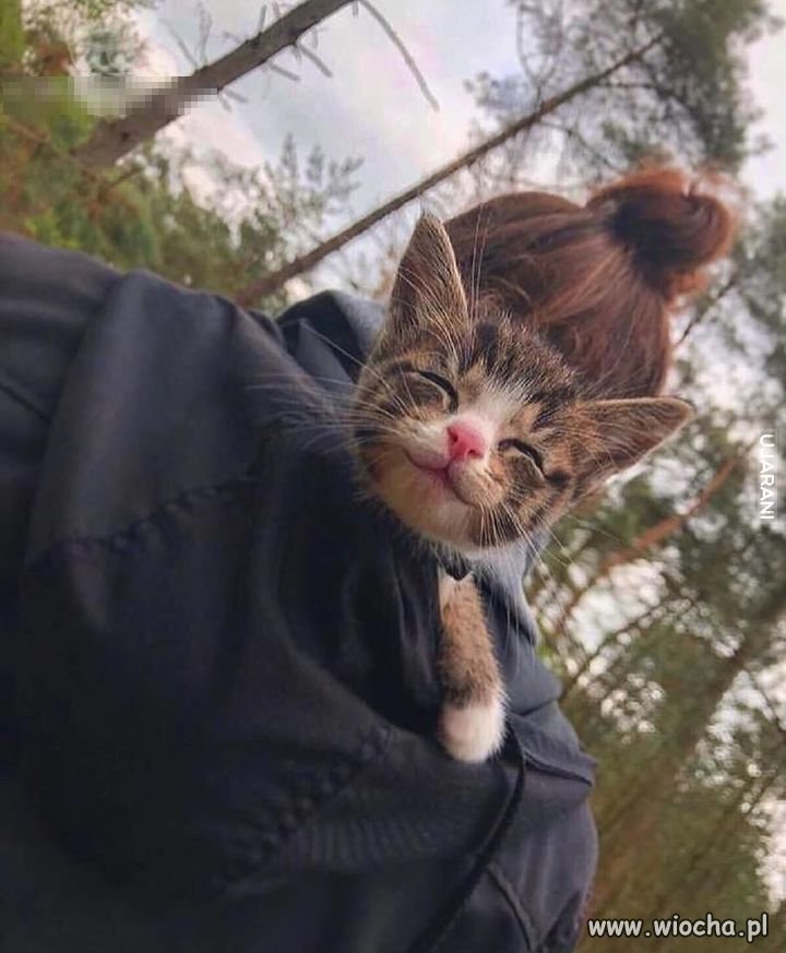 Sie ma wiochowicze