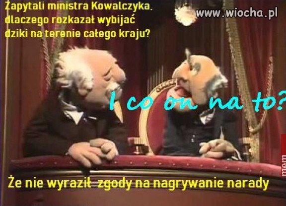 Memy polityczne...