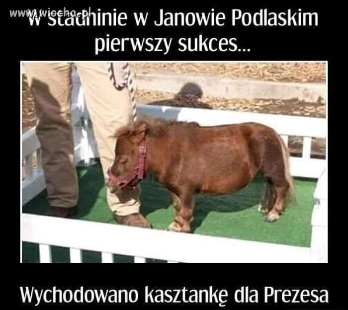 Pierwszy sukces