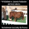 Pierwszy sukces