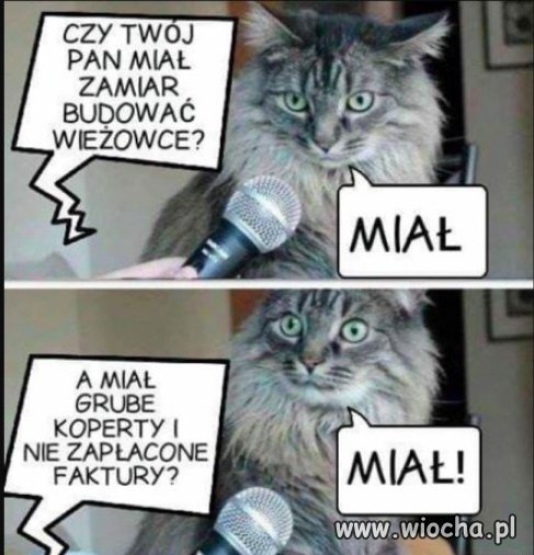 Kolejny świadek