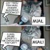 Kolejny świadek