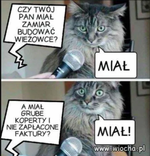 Kolejny świadek