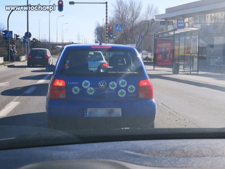 Chciała być dobrze widoczna. 