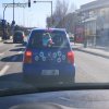 Chciała być dobrze widoczna. 