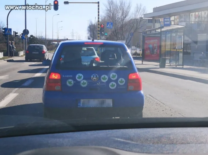 Chciała być dobrze widoczna. 