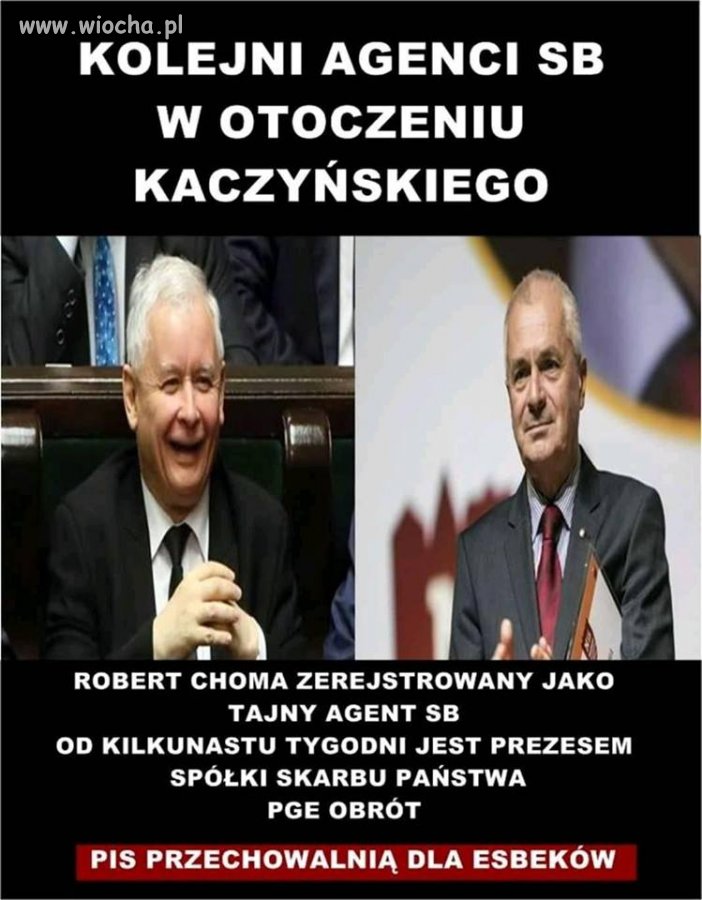 Pewnie znów Jarek