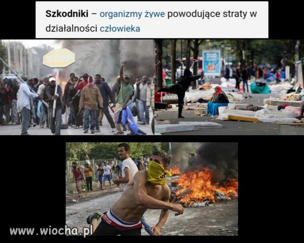 Definicja
