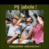 Apel do rodzin 500+