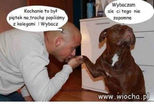 Wybacz!