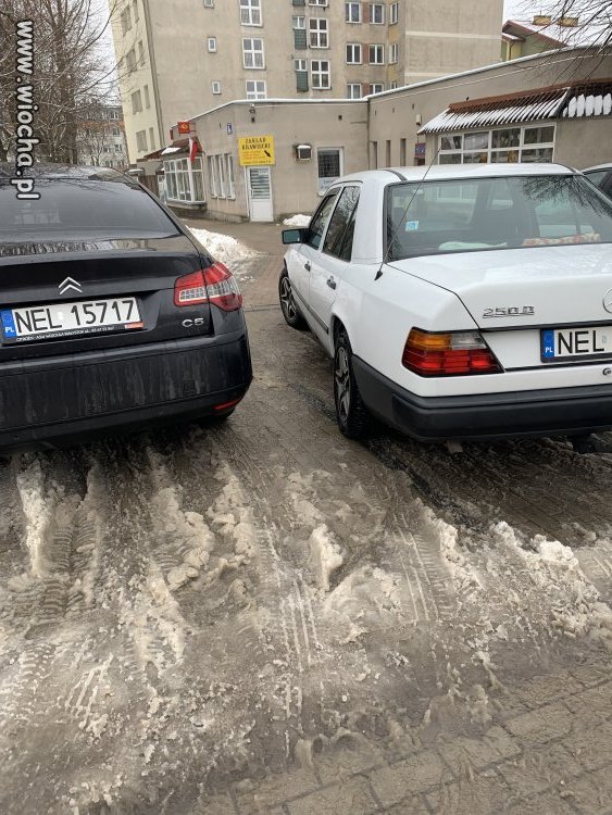 Tak parkują w Ełku