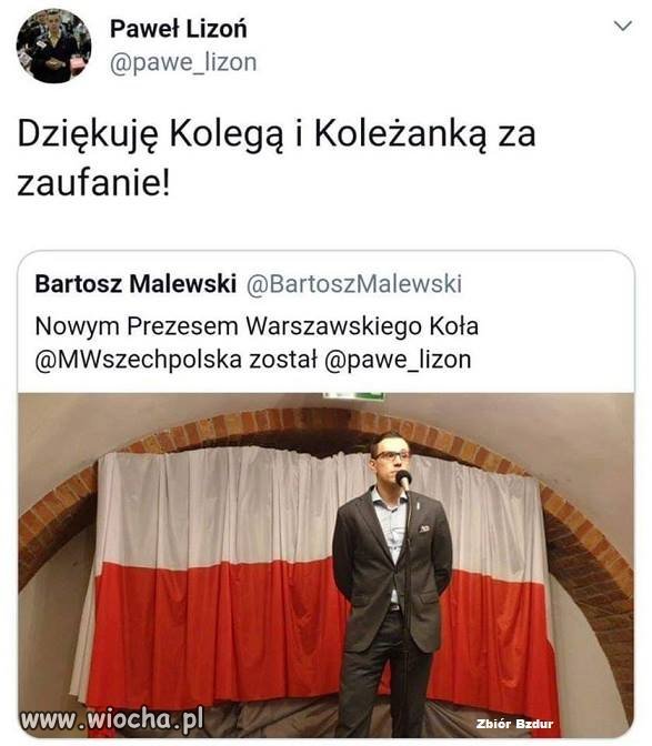 Studęt