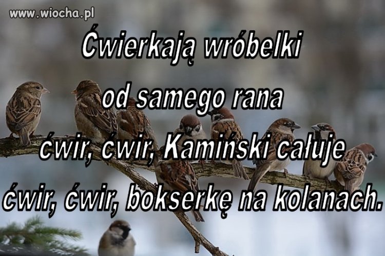 A co tam Panie w polityce słychać?