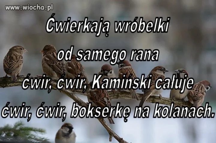 A co tam Panie w polityce słychać?