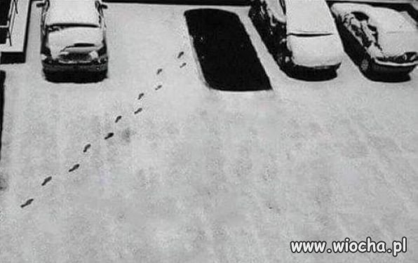 Co tu się