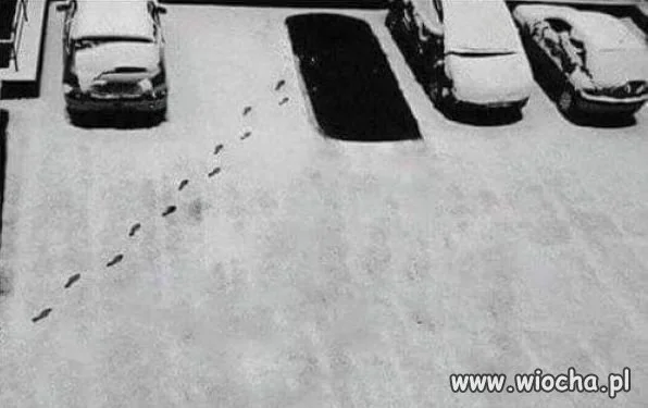Co tu się