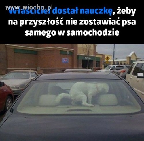 Nauczka na przysz?o?? 