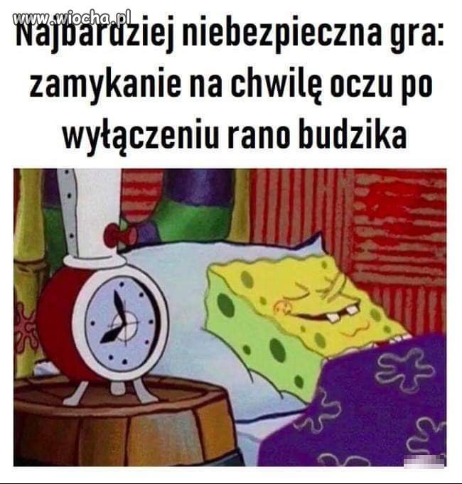 Poranna pobudka 