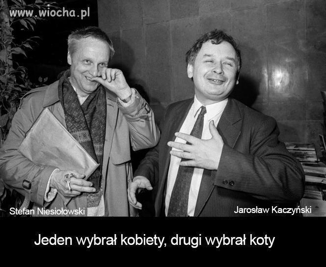Starzy znajomi
