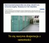 Prawdziwy desperat
