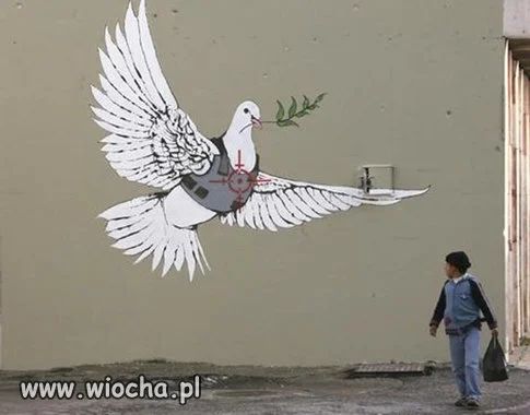 Gołąbek pokoju