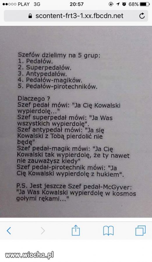  Szefowie w grupie ...
