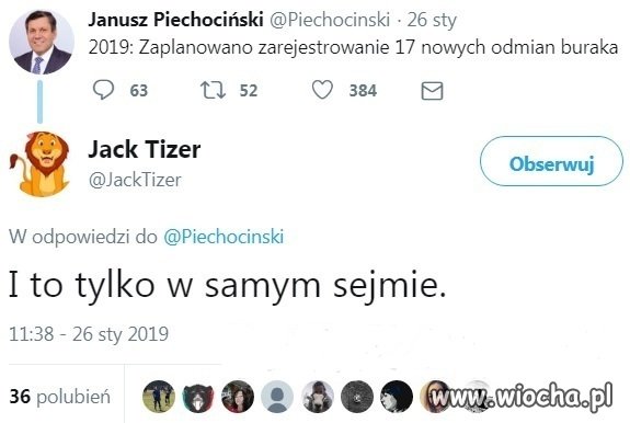 Pan poseł