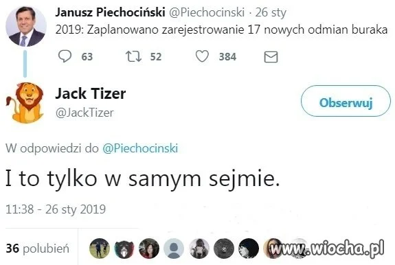 Pan poseł