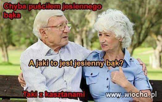Jesienny bąk