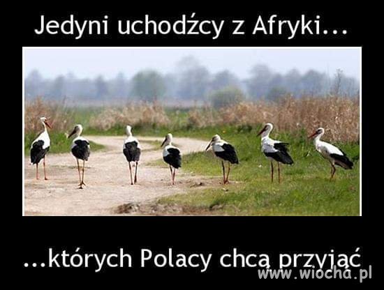 Zgadzam się.