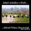 Zgadzam się.