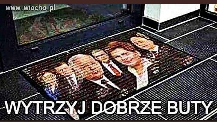 Poszukuję