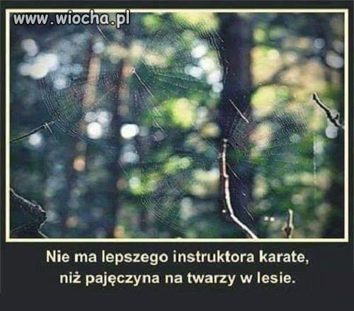 Instruktor karate 