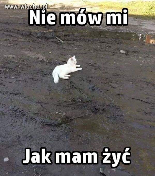 No i tyle... 