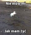 No i tyle... 