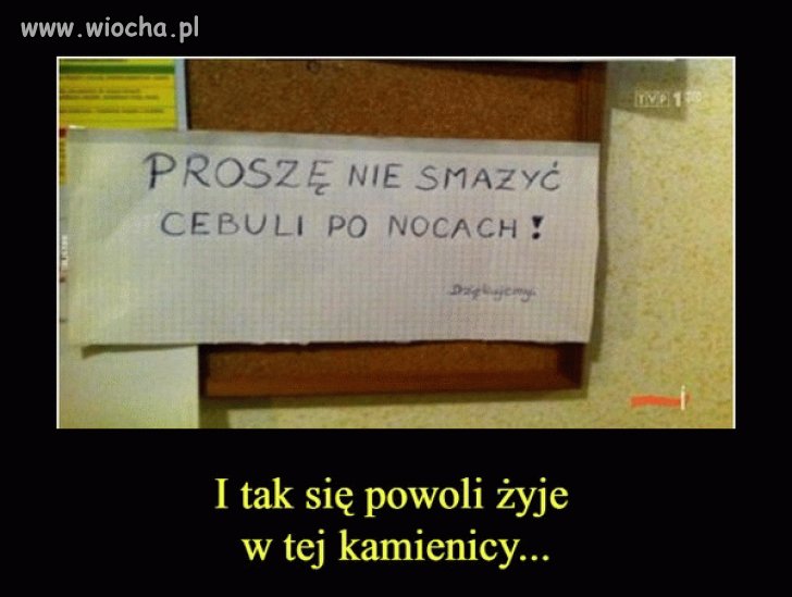 Z życia mieszkańców pewnej kamienicy