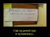 Z życia mieszkańców pewnej kamienicy
