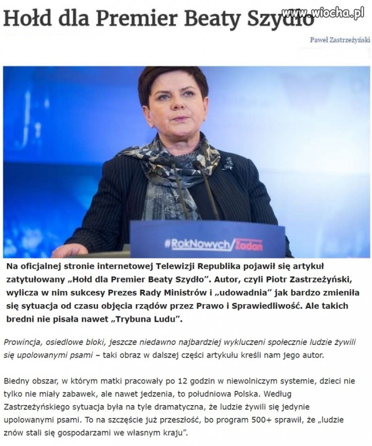 Tu kanapki, tu psy