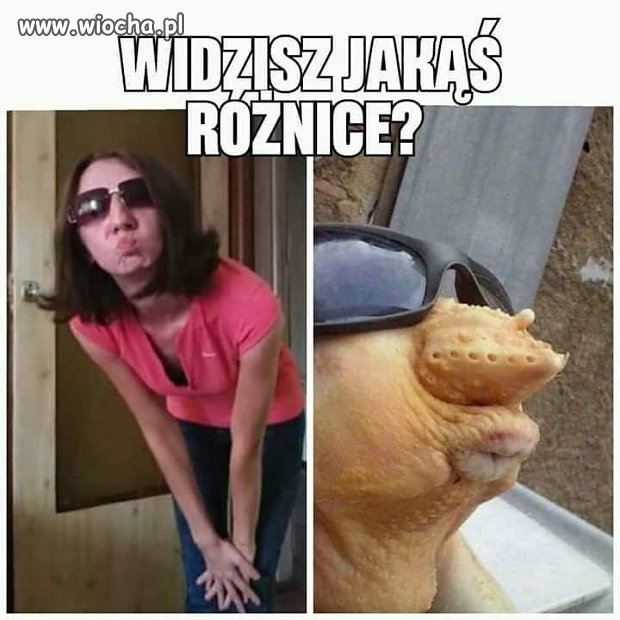 Dzióbek