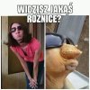 Dzióbek