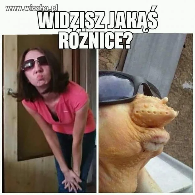 Dzióbek