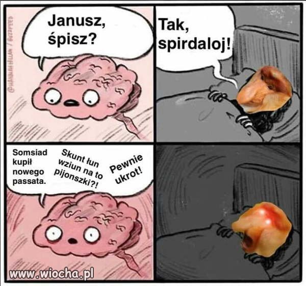 Janusz