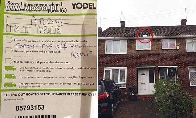 Yodel